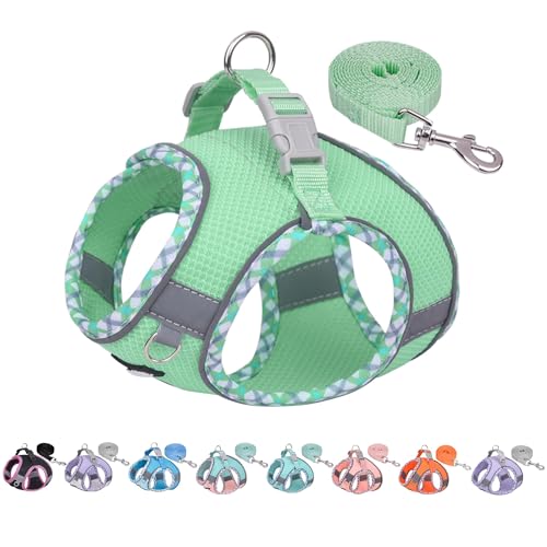 AIITLE Hundegeschirr und Leine Set, No Pull Schritt in Welpengeschirr mit Super atmungsaktivem Mesh, reflektierende Welpen Essentials für die Ausbildung für kleine Hunde, Katzen Salbei XS von Aiitle