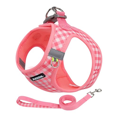 AIITLE No Pull Hundegeschirr und Leine Set, Step-in Hundegeschirr aus weichem Mesh, reflektierend für extra kleine Welpen und Katzen, Kariertes Hundewestengeschirr für Haustiere, Wassermelone, XXS von Aiitle