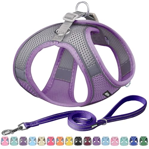 AIITLE Arnés para Perros antitirones, arnés Ajustable Con Chaleco acolchado, Correa para Perros Con ASA acolchada Suave, fácil de colocar en Perros pequeños y medianos, Color Púrpura S von Aiitle