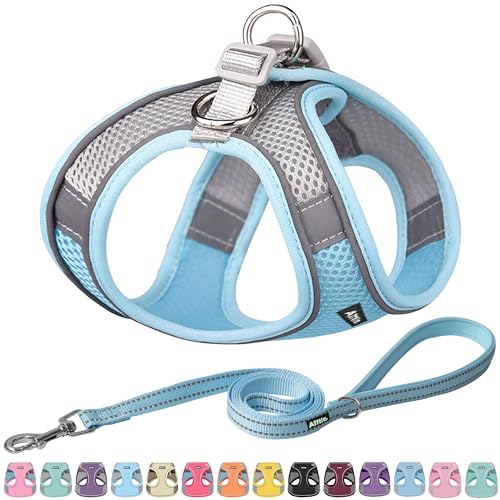 AIITLE Pet Supply No Pull, Step in Adjustable Dog Harness with Padded Vest for All Weather, Easy to Put on Small and Medium Dogs Blue S von Aiitle