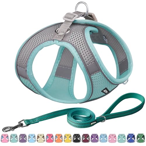 AIITLE Schritt in Hundegeschirr und Leine Set - No Pull Escape Proof Weste Geschirre mit reflektierenden Bändern, einstellbare Haustier Outdoor-Geschirre für kleine und mittlere Hunde Türkis M von Aiitle