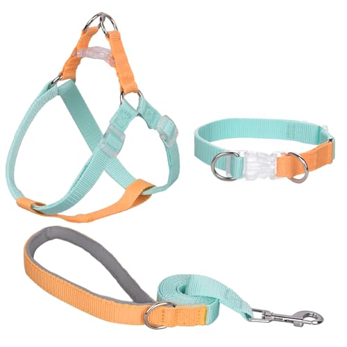 AIITLE Verbessertes Step-in-Hundehalftergeschirr & Leine & Halsband - Leichtes Hundegeschirr mit Doppel-D-Ring - für extra kleine Hunde, tägliches Spazierengehen und Training, Grün-Gelb, XS von Aiitle