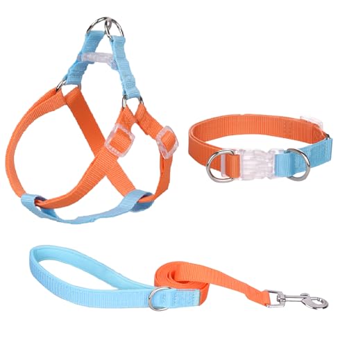 AIITLE Verbessertes Step-in-Hundehalftergeschirr & Leine & Halsband - Leichtes Hundegeschirr mit Doppel-D-Ring - für extra kleine Hunde, tägliches Spazierengehen und Training, Orange-Blau, XS von Aiitle