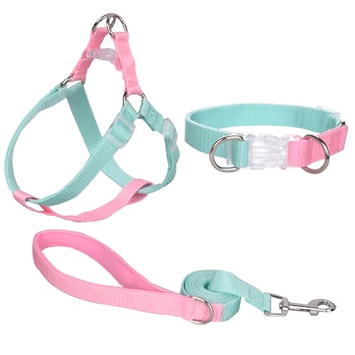 AIITLE Verbessertes Hundehalfter, Geschirr, Halsband, Leine, Set, langlebig, verstellbar, kein Ziehen, bequemer gepolsterter Griff, für mittelgroße Rassen, Hunde, beim Laufen, Grün-Rosa, Größe M von Aiitle