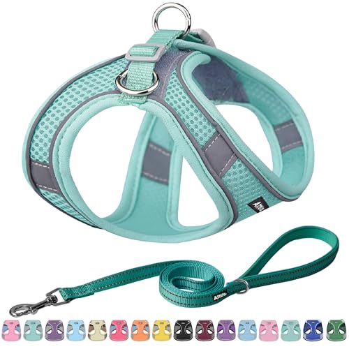 AIITLE Bequemes Hundegeschirr und Leine Set zum Gassi gehen - Step in Vest Harness, Reflektierende Bänder, Einstellbare No Pull Puppy Essentials, für kleine Hunde und Hauskatzen Reines Türkis XS von Aiitle