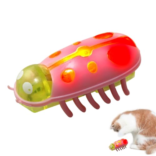 Ailan Pet Mini Marienkäfer, elektrisches Katzenspielzeug, kann Licht ausstrahlen, interaktives Spielzeug, Käfer, Lernspielzeug für Katzen und Kätzchen zum Spielen und Trainieren (rosa grün) von Ailan