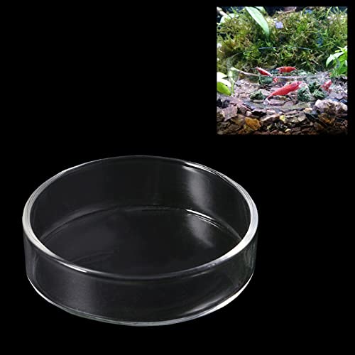 Ailinda 60 cm / 65 cm runder Aquarium Glas Garnelen-Futterschale Reptilien Wasser Futternapf Futterschale Futterschale, 60MM von Ailinda