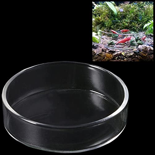 Ailinda 60 cm / 65 cm runder Aquarium Glas Garnelen-Futterschale Reptilien Wasser Futternapf Futterschale Futterschale, 65MM von Ailinda