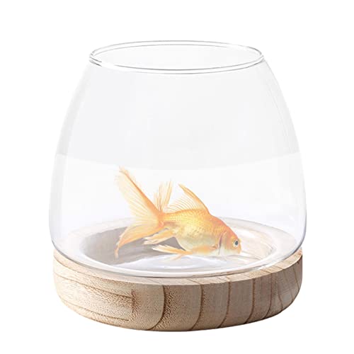 Hydroponisches Pflanzenterrarium,Klares Vase Aquarium mit Holzsockel | Vase für Blumen, Glasvase, Fischschale, hydroponische Pflanzenvase für Herzstück als Heimdekoration Ailopta von Ailopta