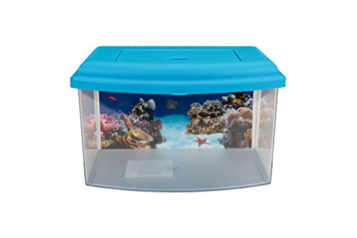 Aime Aquarium Kunststoff für Aquaristik – 1 Einheit von Aimé