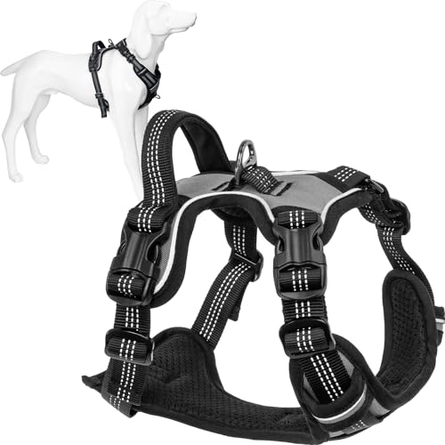 AIMYDOG Hundegeschirr, Größe M, mit Halsverschluss-Schnalle, verstellbares Anti-Zieh-Hundegeschirr, weich gepolstert, mit Clips vorne und hinten und leicht zu kontrollierenden Griff, reflektierend, von Aimydog