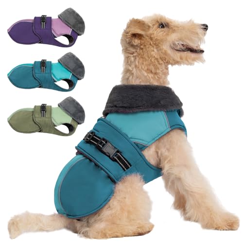 Aimydog Wintermantel für Hunde, Hundejacke mit Loch für Leine, mit Reißverschluss, verstellbare und reflektierende Hundejacke, Schneeanzug, gemütliche Winterkleidung von Aimydog