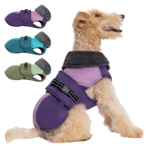 Aimydog Wintermantel für Hunde, Hundejacke mit Loch für Leine, mit Reißverschluss, verstellbare und reflektierende Hundejacke, Schneeanzug, gemütliche Winterkleidung von Aimydog