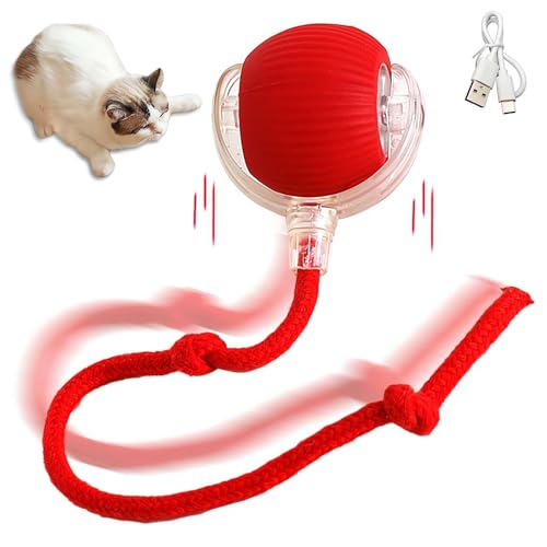 Interaktives Katzenspielzeug, Ball mit langem Schwanz, bewegungsaktivierter elektrischer Rollball, Spielzeug für Katzen/Kätzchen, intelligenter automatischer Teaser, wiederaufladbar über USB von Ainiupi