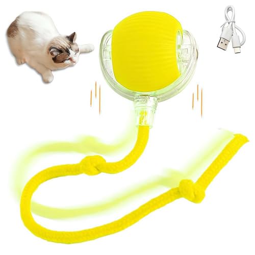 Interaktives Katzenspielzeug, Ball mit langem Schwanz, bewegungsaktivierter elektrischer Rollball, Spielzeug für Katzen/Kätzchen, intelligenter automatischer Teaser, wiederaufladbar über USB von Ainiupi