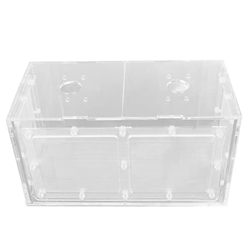 Fischzuchtbox, Sichere Fischtank-Brutstätte, Stoßfeste Hakeninstallation, Acrylabdeckung, Transparentes Aquarium für Kleine Fische (20 * 10 * 11CM) von Airshi