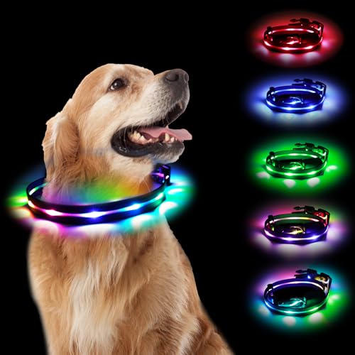 Aisuowa LED Leuchthalsband Hund, USB Aufladbar Hundehalsband Leuchtend, Wasserdicht Leuchtendes Halsband für Hunde und Katzen, 12 Beleuchtungsmodi Halsband für Kleine, Mittlere und Große Haustier, M von Aisuowa