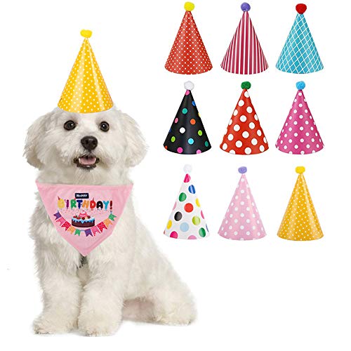 Aiwjeakh 10 Set Hund Geburtstag Bandana Schals mit Niedlichen Hund Geburtstag Hut von Aiwjeakh