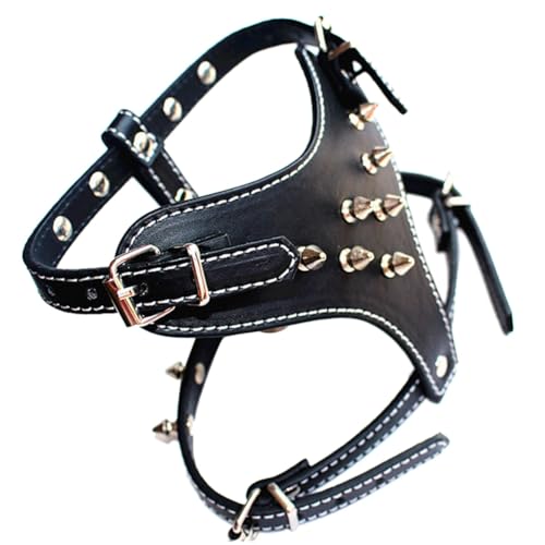 Aiwjeakh Welpen-Hundegeschirr-Weste Aus Leder mit Spikes und Nieten für Kleine Rassen, Hundegeschirr, Hundeleine, Hundehalsband, 1 Stück, Schwarz von Aiwjeakh