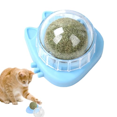 Aizuoni Katzenminze-Wandspielzeug, Cat Nips Bio-Katzenspielzeug,Drehbare Essbare Katzensnack-Bällchen Mit Natürlicher, Gesunder Katzenminze-Kugelnuss, Spielendes Kätzchen, Spielzeug Zum Kauen Und von Aizuoni