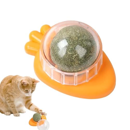 Aizuoni Katzenminze-Wandspielzeug, Cat Nips Bio-Katzenspielzeug,Drehbare Essbare Katzensnack-Bällchen Mit Natürlicher, Gesunder Katzenminze-Kugelnuss, Spielendes Kätzchen, Spielzeug Zum Kauen Und von Aizuoni