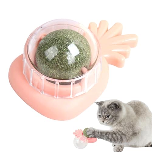 Aizuoni Katzenminze-Wandspielzeug, Cat Nips Bio-Katzenspielzeug,Drehbare Essbare Katzensnack-Bällchen Mit Natürlicher, Gesunder Katzenminze-Kugelnuss, Spielendes Kätzchen, Spielzeug Zum Kauen Und von Aizuoni