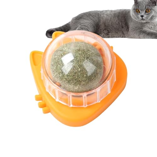 Aizuoni Katzenminze-Wandspielzeug, Cat Nips Bio-Katzenspielzeug,Drehbare Essbare Katzensnack-Bällchen Mit Natürlicher, Gesunder Katzenminze-Kugelnuss, Spielendes Kätzchen, Spielzeug Zum Kauen Und von Aizuoni