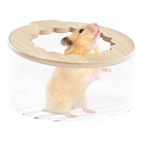 Aizuoni Kleintier-Sandbad-Box, Sandbad für Hamster, Hamster-Badebox, Hamster-Katzentoilette, Sandkasten, Hamster-Reinigungs-Badezubehör, sicherer Deckel für Hamster, Rennmäuse, Kleintiere von Aizuoni