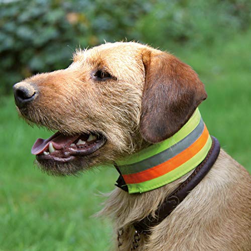 Akah Reflektierendes Halsband für Hunde Halsweite: 30 cm | Breite: 5 cm von Akah