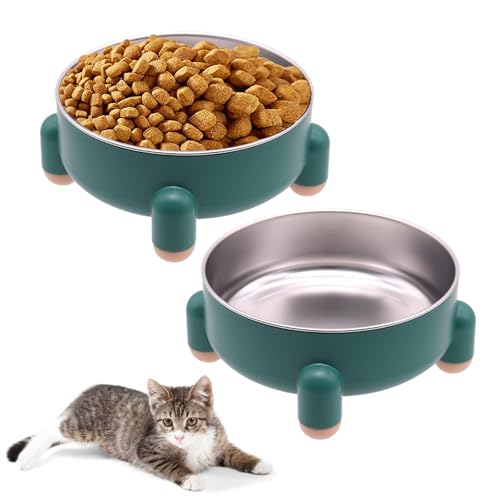 Katzennapf aus Edelstahl, rutschfestes und erhöhtes Design, langlebiges HIPS-Material, auslaufsicher, spülmaschinenfest, perfekt für Katzen und kleine Hunde, leicht zu reinigen (grün, 2 Stück) von AkoSlale