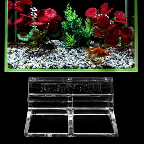 Akozon Acryl-Aquarium-Halterungen – 20 Stück Aquarium-Abdeckplattenhalter, Aquarium-Zubehör, Stabile Tank-Halterungsklammern für Sichere Aquarium-Installation (10mm) von Akozon