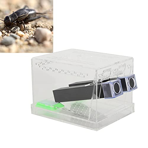 Akozon Acryl-Fütterungs-Cricket-Keeper-Stift mit Röhrchen, Insektenschaben-Pflegeset, Reptilienbehälter, Box, Cricket-Keeper-Käfig mit Röhrchen, Behälter, Kleiner Stift, groß, für (L) von Akozon