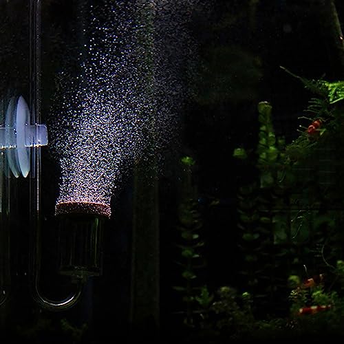 Akozon CO2-Diffusor für Aquarien – Transparenter Blasenzähler – Wasserpflanzen-CO2-Injektor – Verfügbare Größen L, M, S – Effizientes Wasserpflanzenwachstum – Kompatibel mit von Akozon