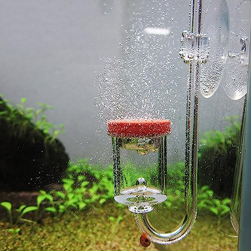 Akozon CO2-Diffusor für Aquarien – Transparenter Blasenzähler – Wasserpflanzen-CO2-Injektor – Verfügbare Größen L, M, S – Effizientes Wasserpflanzenwachstum – Kompatibel mit von Akozon