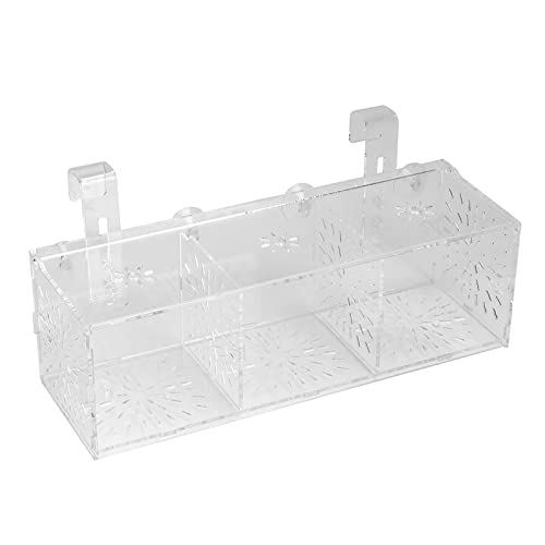 Akozon Fischzuchtbox, Transparentes Acryl-Aquarium für Panzeranemonen, Aquarienbrüterei, Inkubatorhalter, Züchter, Quarantäne, Zuchtisolationsbox (30 cm * 10 cm * 10 cm) von Akozon