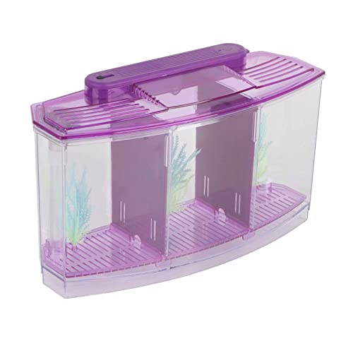 Akozon LED-Aquarium aus Acryl mit DREI Unterteilungen – Ideale Zucht- und Isolationsbox für Kleine Fische, Betta-Fische – Mini-Aquarium-Enthusiasten nach (Purple) von Akozon