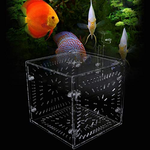 Akozon Transparente Aquarium-Isolierbox für Kranke Fische, Brüterei-Isoliertank mit Trennwänden – Ideal für die Pflege und Zucht von Haustieren (15CM * 15CM * 15CM) von Akozon