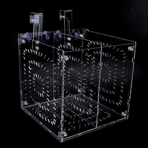 Akozon Transparente Aquarium-Isolierbox für Kranke Fische, Brüterei-Isoliertank mit Trennwänden – Ideal für die Pflege und Zucht von Haustieren (20MC * 20CM * 20CM) von Akozon