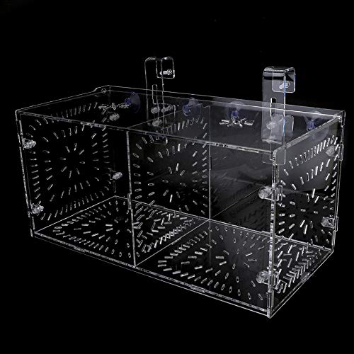 Akozon Transparente Aquarium-Isolierbox für Kranke Fische, Brüterei-Isoliertank mit Trennwänden – Ideal für die Pflege und Zucht von Haustieren (30CM * 15CM * 15CM) von Akozon