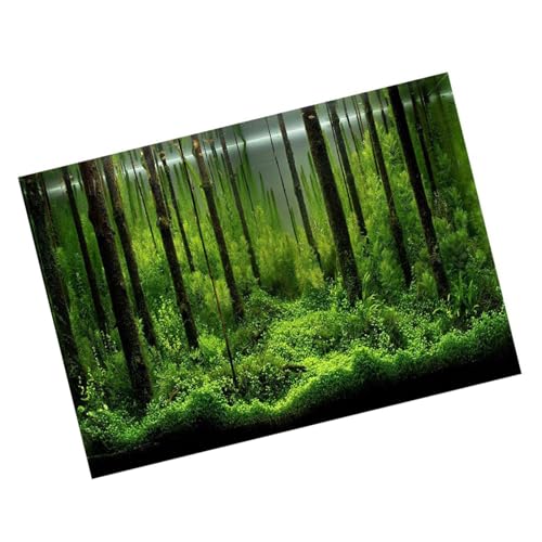 Akozon Unterwasser-Waldtank-Hintergrundposter, PVC-Klebehintergrund-Dekorationspapier für Aquarien, 122 X 46 cm (61 * 41CM) von Akozon