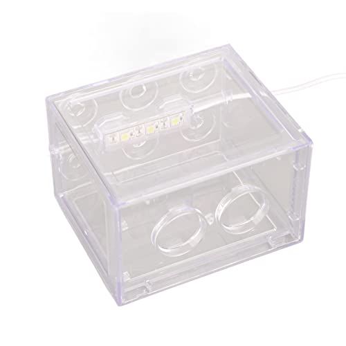 Dekoratives Mini-Aquarium, USB-LED-Licht, Lampe, Aquarium, Box, Büro, Teetisch, Dekoration, Professionelles Zubehör für den Einsatz (Transparent) von Akozon