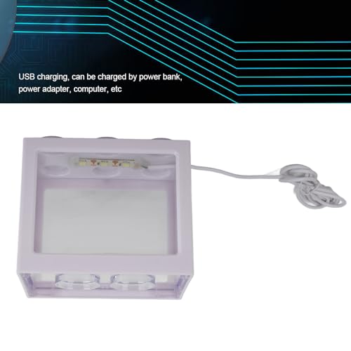 Dekoratives Mini-Aquarium, USB-LED-Licht, Lampe, Aquarium, Box, Büro, Teetisch, Dekoration, Professionelles Zubehör für den Einsatz (White) von Akozon