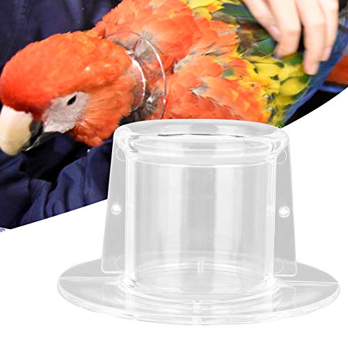 Akozon Parrot Anti-Biss Federpflücken Wundheilungs Halskrause Vogelhalskrause für Vogel(S) (L Außendurchmesser 9,5 Innendurchmesser 4,5) von Akozon