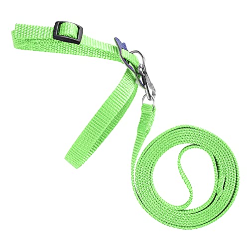 Vogelgeschirr, Papageienleine, Verstellbares Vogel-Nylon-Anti-Biss-Seil für Outdoor-Training, Professionelles Zubehör für den Einsatz (Green) von Akozon