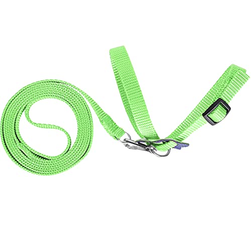 Vogelgeschirr, Papageienleine, Verstellbares Vogel-Nylon-Anti-Biss-Seil für Outdoor-Training, Professionelles Zubehör für den Einsatz (Green) von Akozon