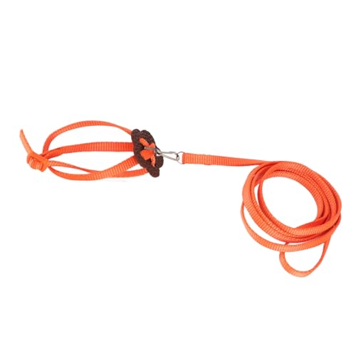 Vogelgeschirr, Papageienleine, Verstellbares Vogel-Nylon-Anti-Biss-Seil für Outdoor-Training, Professionelles Zubehör für den Einsatz (ORANGE) von Akozon