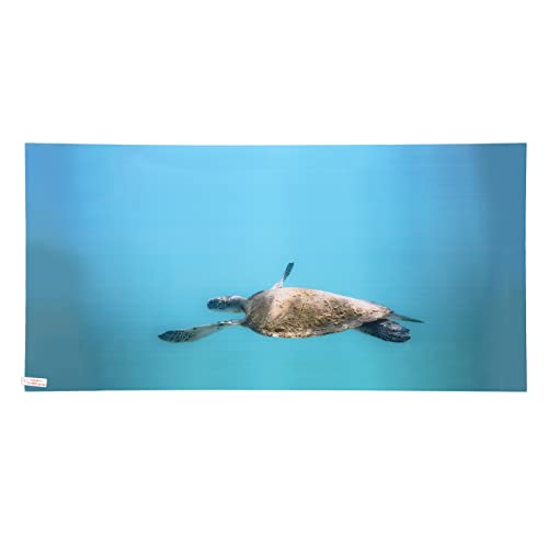 Aladeno Aquarium-Hintergrund, PVC-Aquarium-Hintergrund, Aquarium-Poster-Hintergrund für Aquarium-Dekor – Meeresschildkröte (122 * 50CM) von Aladeno