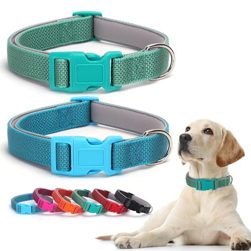 Alainzeo Reflektierende Hundehalsbänder, klassisch, verstellbar, weiches Neopren, gepolstert, atmungsaktiv, Nylon, Haustierhalsband für kleine, mittelgroße und große Hunde (Blau/Grün, XS) von Alainzeo