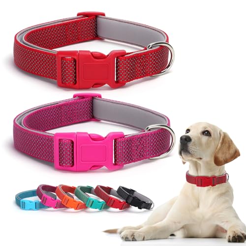 Alainzeo Reflektierendes Hundehalsband, klassisch, verstellbar, weiches Neopren, gepolstert, atmungsaktiv, Nylon, Haustierhalsband für kleine, mittelgroße und große Hunde, 2 Stück (Rot/Rosa, M) von Alainzeo