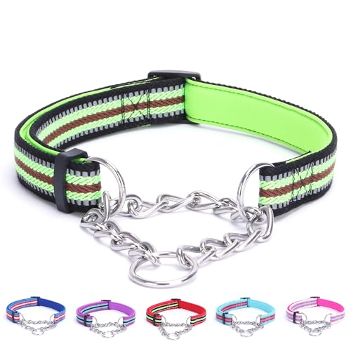 Alainzeo Reflektierendes Martingale-Hundehalsband, verstellbares, weiches Neopren, gepolstert, atmungsaktiv, Nylon-Haustierhalsband für Welpen, mittelgroße und große Hunde, Grün, S von Alainzeo